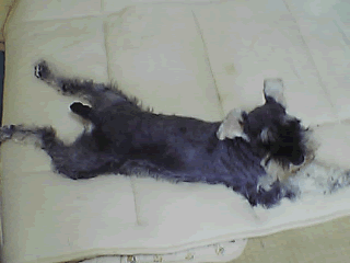 060714_1107~01.gif